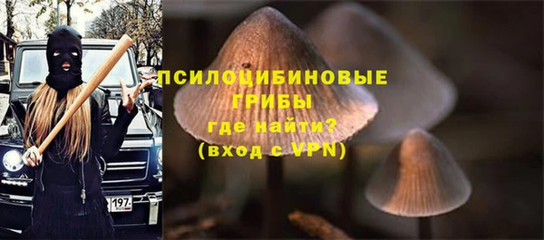 PSILOCYBIN Баксан