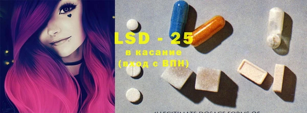 PSILOCYBIN Баксан