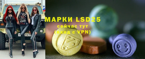PSILOCYBIN Баксан