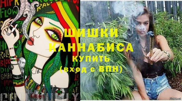 PSILOCYBIN Баксан