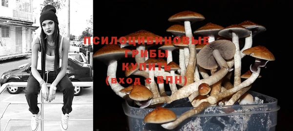 PSILOCYBIN Баксан