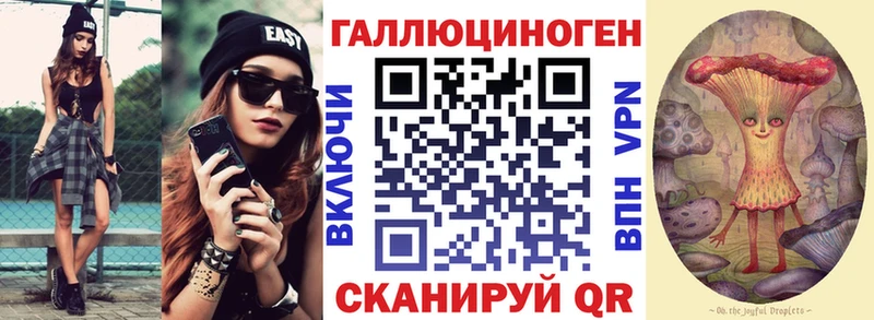 блэк спрут зеркало  Лаишево  Псилоцибиновые грибы мицелий 